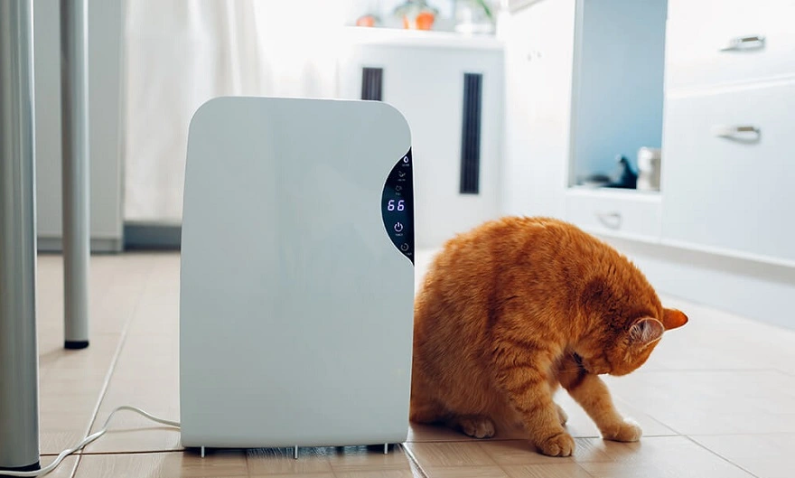 Demo Tourism Multi-Market Place Management